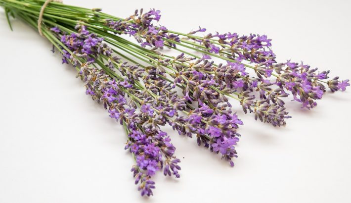 ramo de lavanda